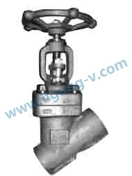 API Forged staninless steel Y type globe valve